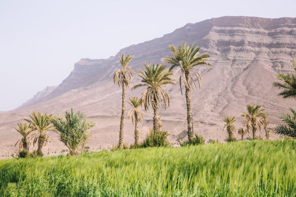 Uncover Morocco’s Natural Landscapes: Adventure, Beauty, and Eco-Tourism