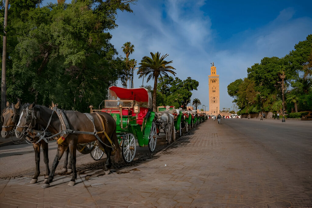 Top 15 Things to Do in Marrakech: Ultimate Guide